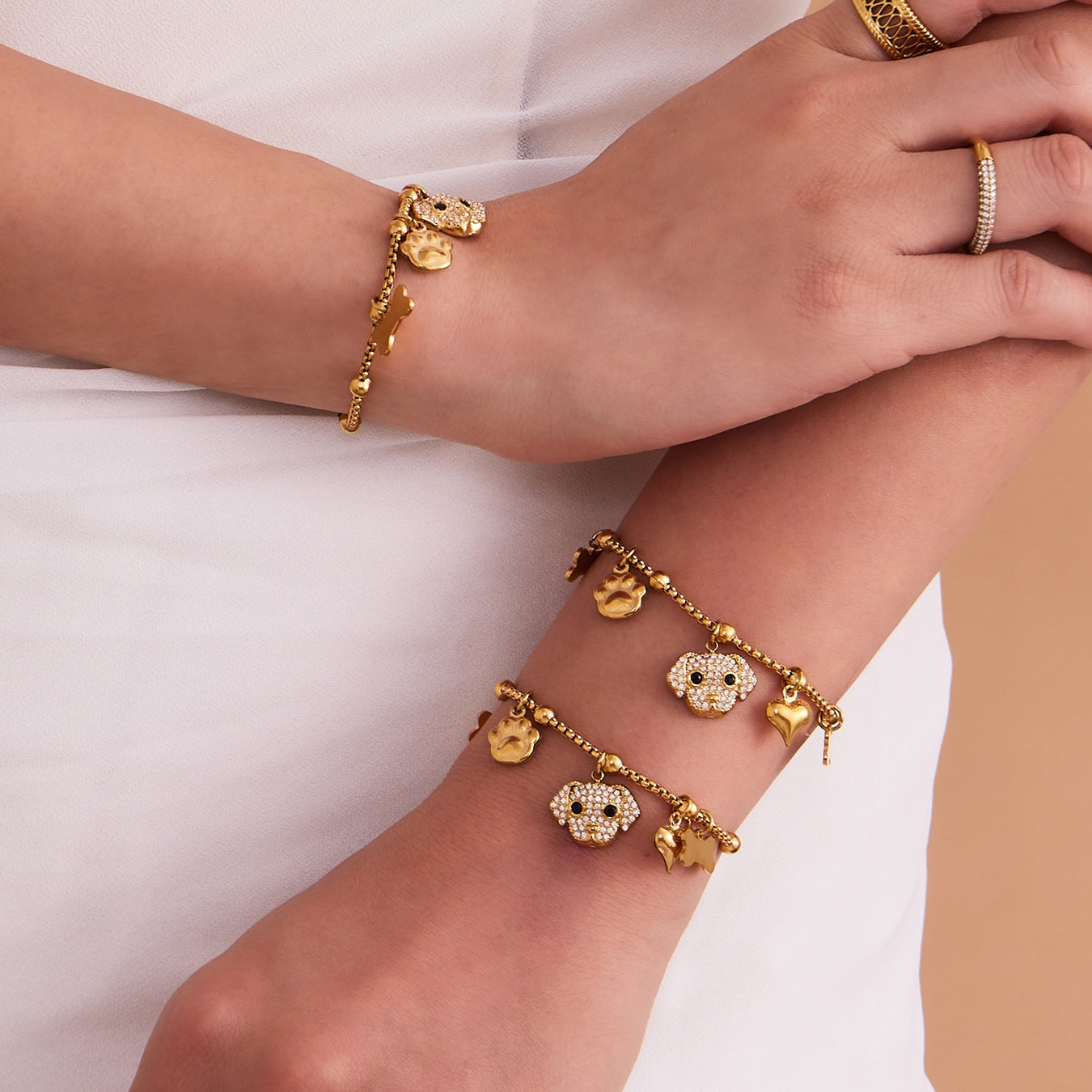 Βραχιόλι Dog Lover Charms από ατσάλι με ζιργκόν – Χονδρική So Cute by Dimi