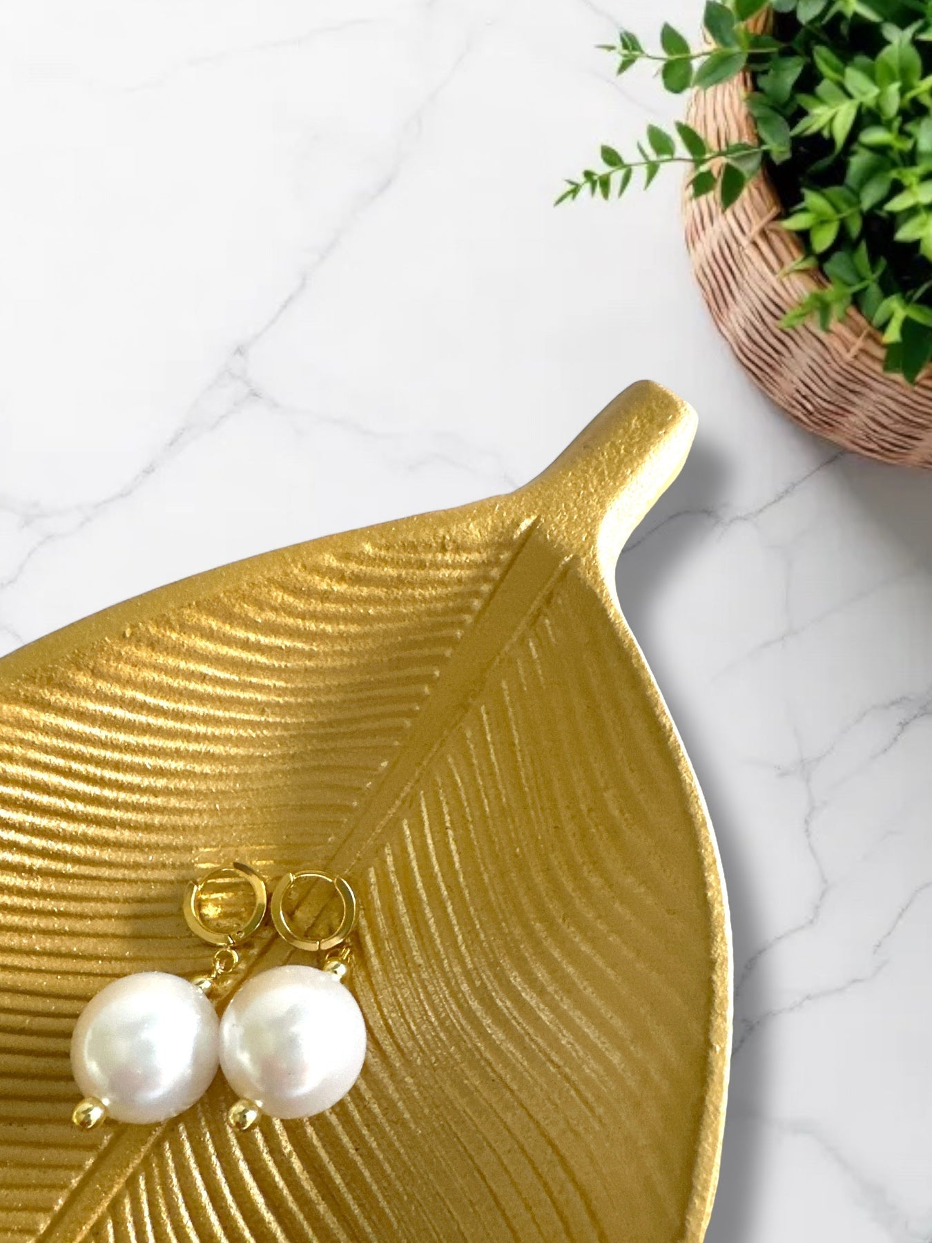 Candy Gloss Earrings