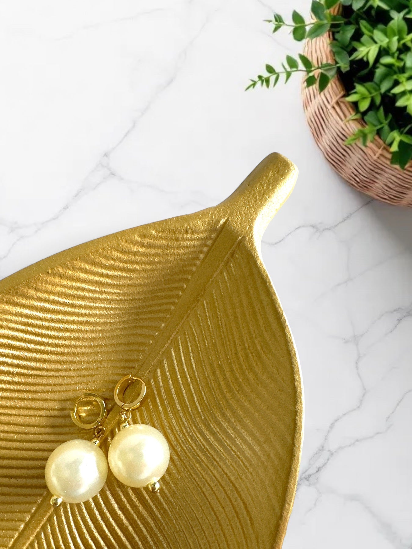 Candy Gloss Earrings