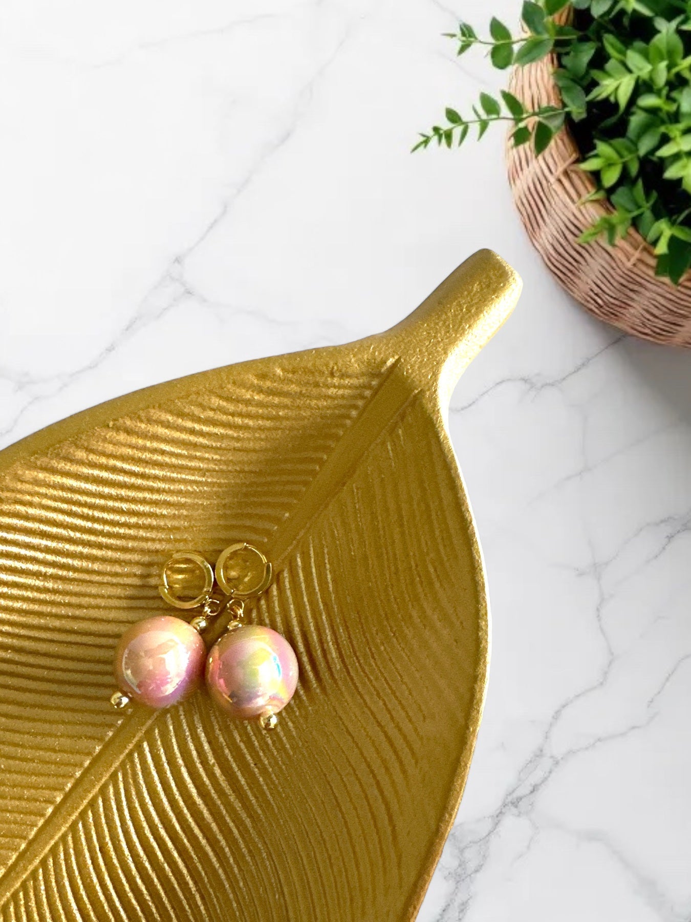 Candy Gloss Earrings