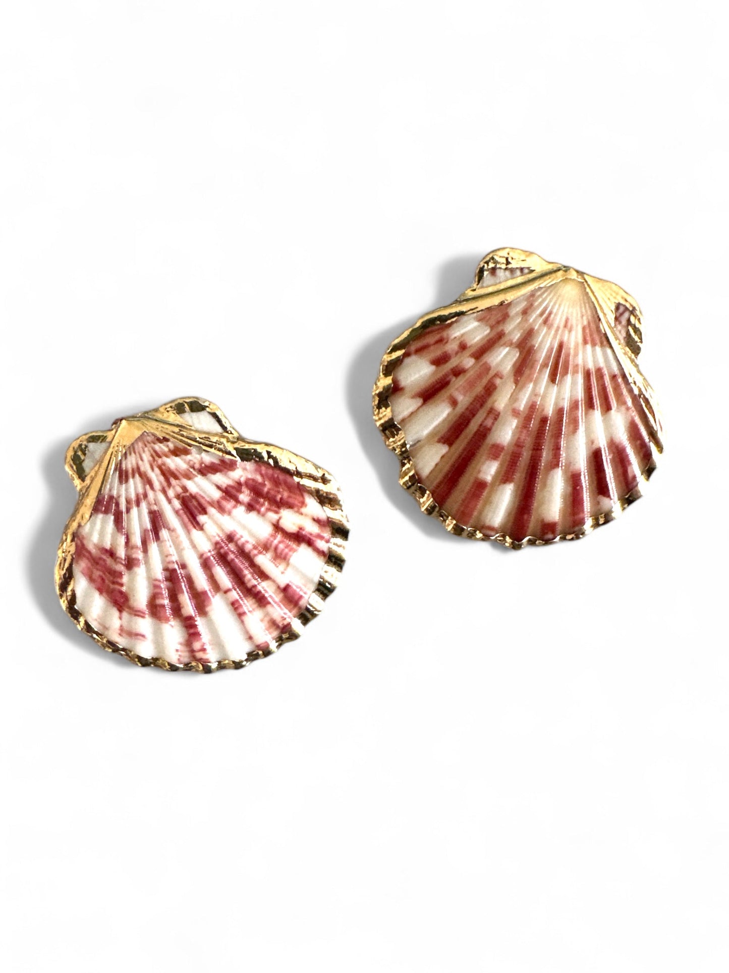 Seashell Queen – Σκουλαρίκια Φυσικό Κοχύλι με Ατσάλινο Καρφί