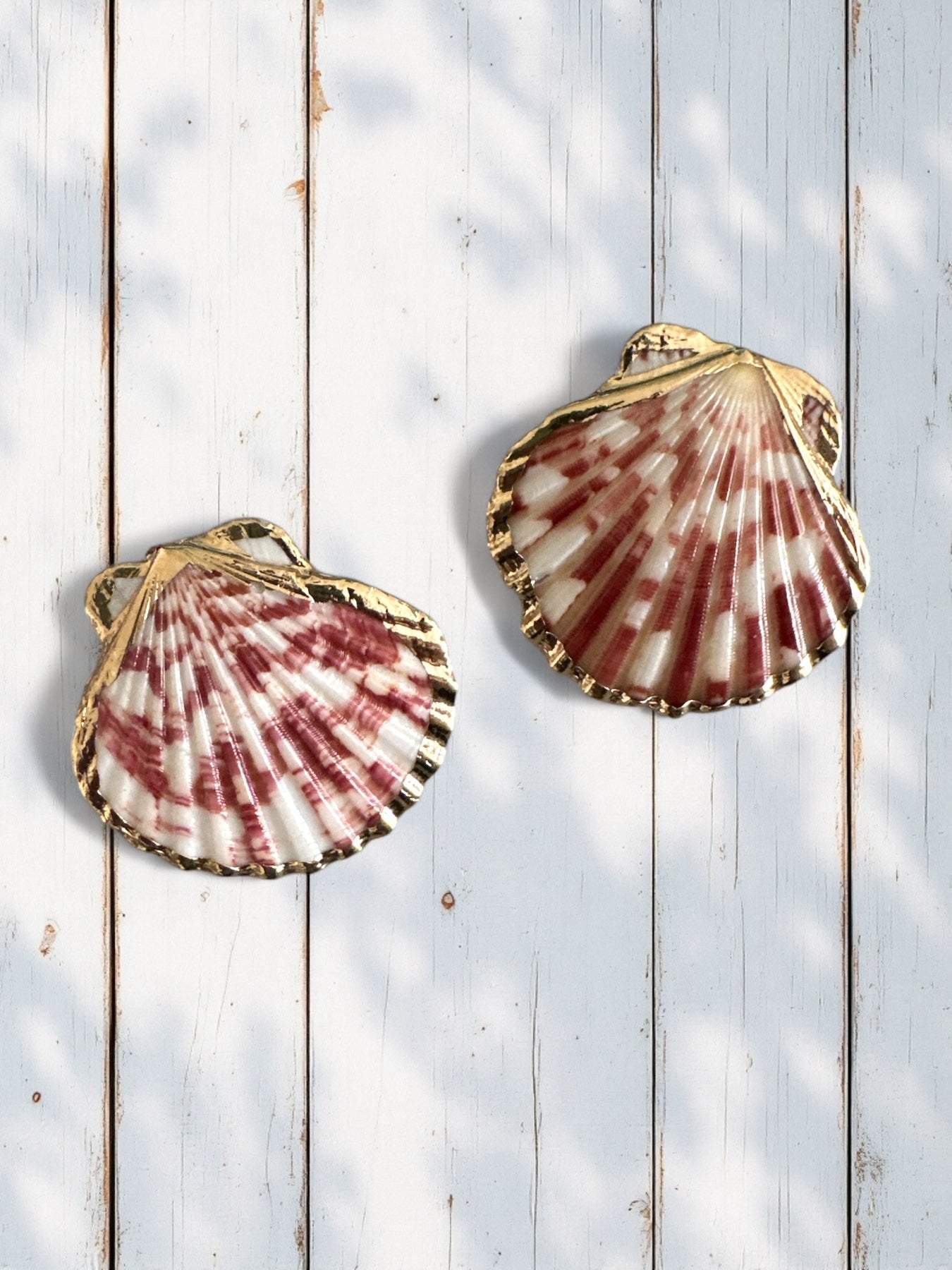 Seashell Queen – Σκουλαρίκια Φυσικό Κοχύλι με Ατσάλινο Καρφί