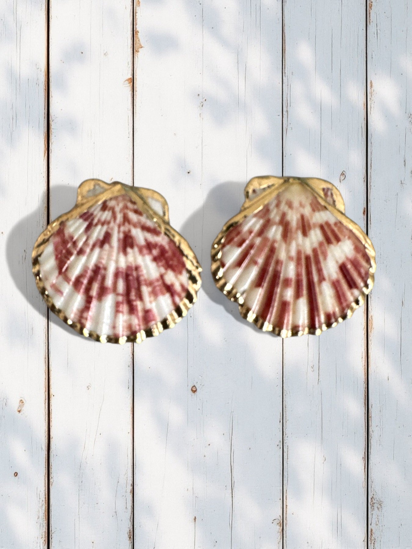 Seashell Queen – Σκουλαρίκια Φυσικό Κοχύλι με Ατσάλινο Καρφί