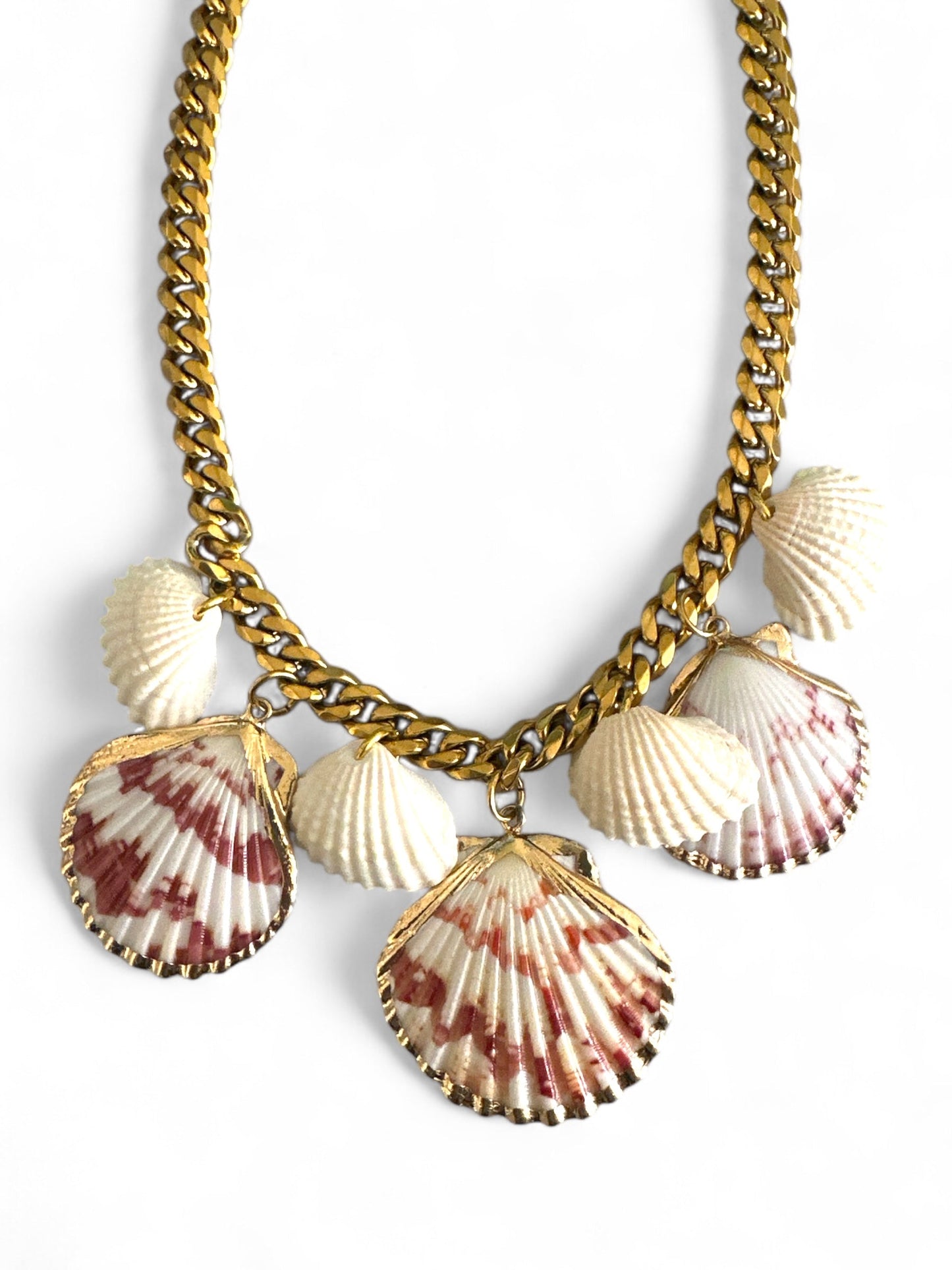 Seashell Queen – Κολιέ με Φυσικά Κοχύλια & Ατσάλινη Αλυσίδα