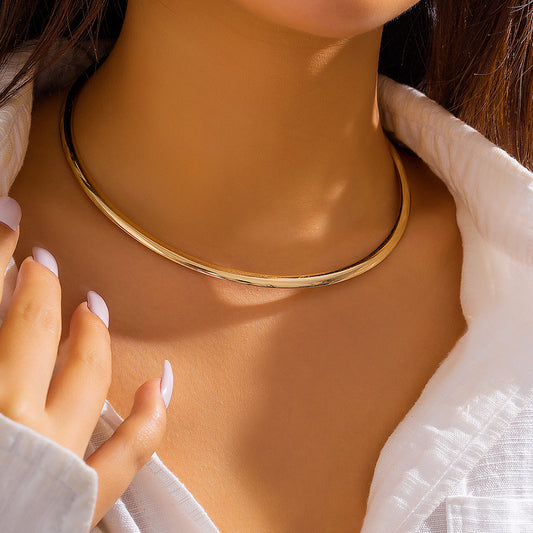 Fashion Bold iron choker