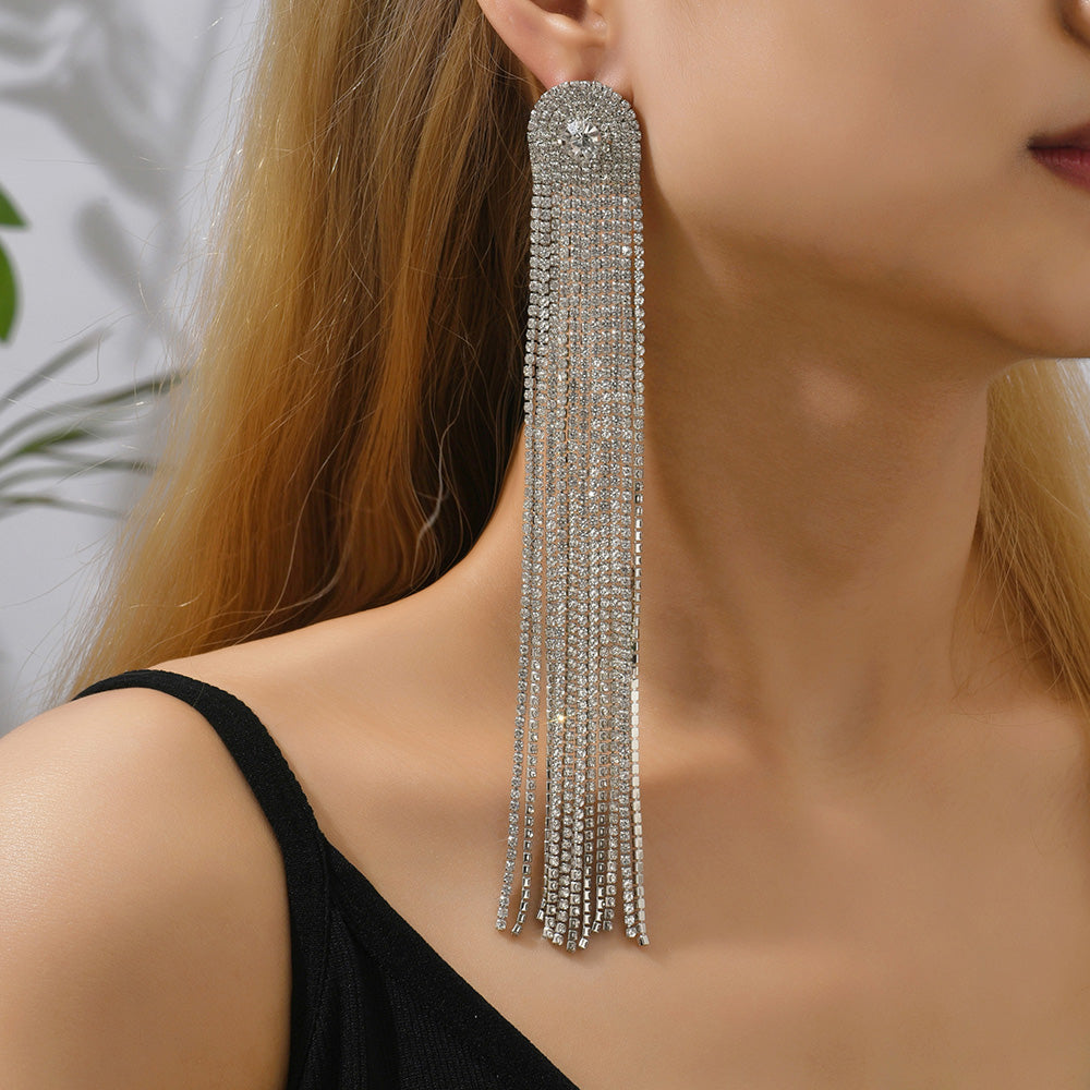 Exaggerated Long Earrings