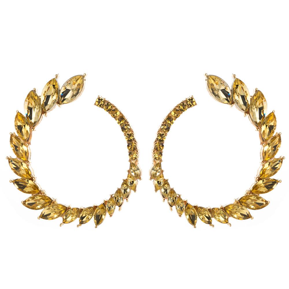 Luxury Inlaid Rhinestone in Exaggerated Large Circle shape Earrings