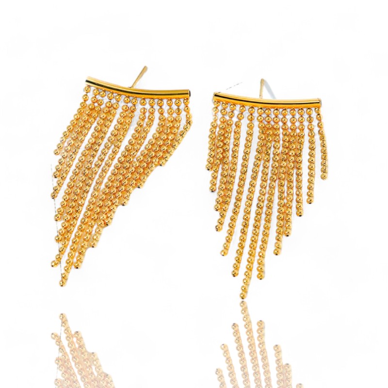 Tassel Stainless Steel Earrings